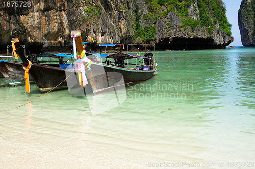 Image of Tropical beach