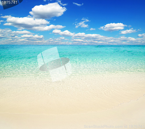 Image of  sea