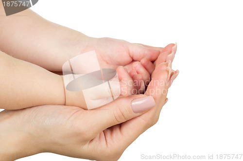 Image of  hands