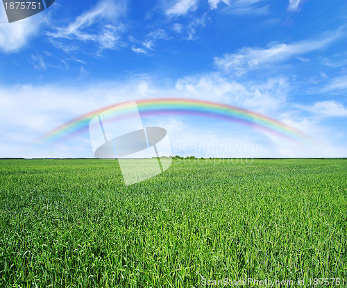 Image of green field