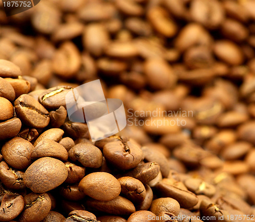 Image of  coffee beans