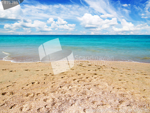 Image of beach and tropical sea