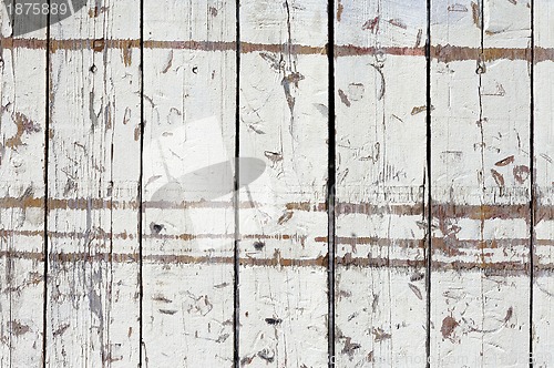 Image of grungy white background of natural wood