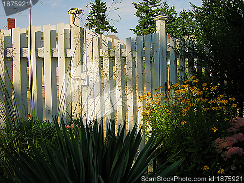 Image of Garden Fence