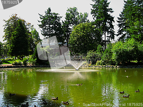 Image of A Walk In The Park