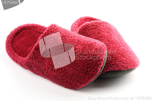 Image of Magenta Slippers Confuse