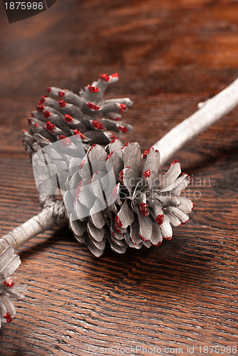 Image of Ornamental fir cone