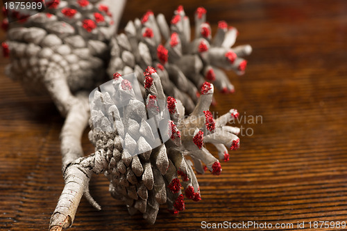 Image of Christmas fir cone