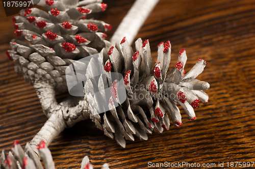 Image of Christmas fir cone