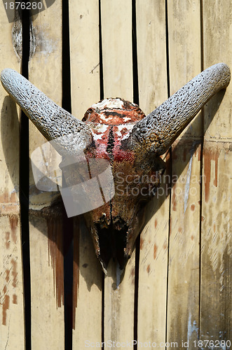 Image of Goat Skull