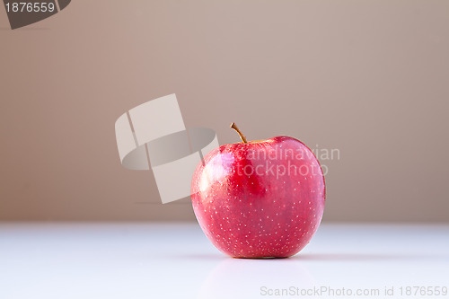 Image of Red Apple on White with Brown Background