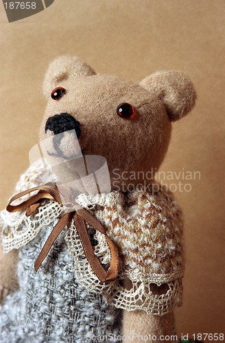 Image of Toys, Portrait of the Teddy bear