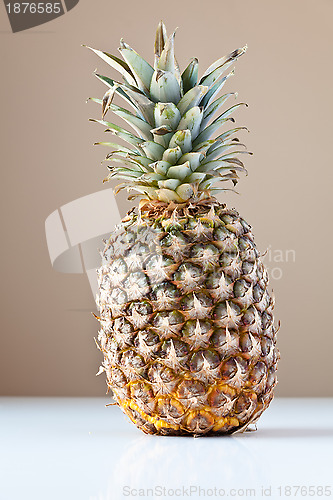 Image of Pineapple on White with Brown Background