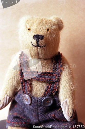 Image of Toys, Portrait of the Teddy bear