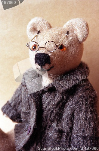 Image of Toys, Portrait of the Teddy bear