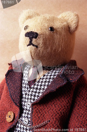 Image of Toys, Portrait of the Teddy bear