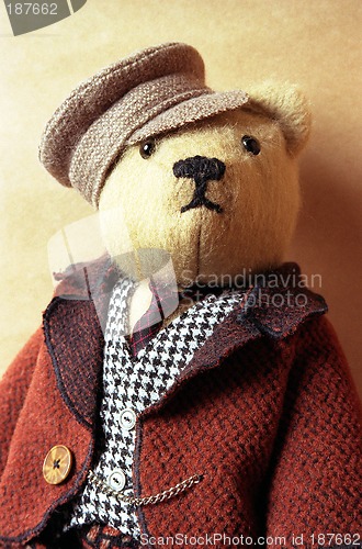 Image of Toys, Portrait of the Teddy bear