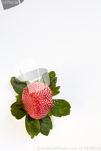 Image of Strawberry from Above with Green Leaves