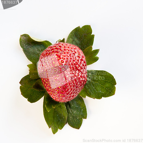 Image of Strawberry from Above with Green Leaves