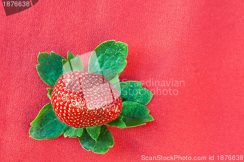 Image of Strawberry from Above with Green Leaves on Red