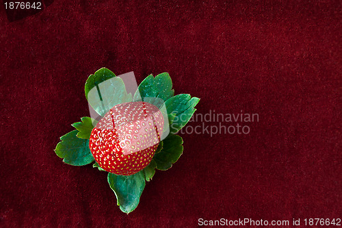 Image of Strawberry from Above with Green Leaves on Red