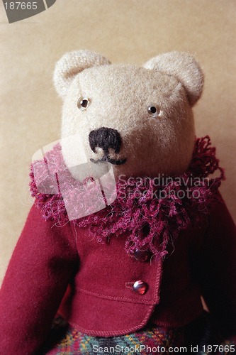 Image of Toys, Portrait of the Teddy bear