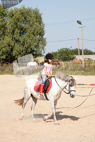 Image of Little Girl Taking Horseback Riding Lessons