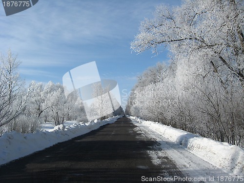 Image of  hoarfrost on the trees