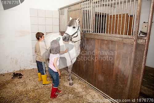 Image of Boy and Girl Grooming a Horse