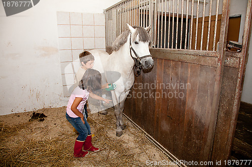 Image of Boy and Girl Grooming a Horse