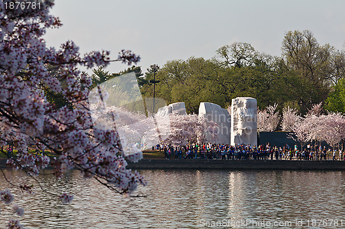 Image of Martin Luther King Memorial in Washington DC with Cherry Blossom