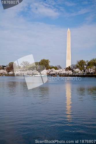 Image of Washington DC Washington Monument reflected in Tidal Basin with 