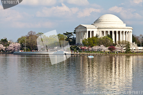 Image of Washington DC Jefferson Memorial with Cherry Blossoms