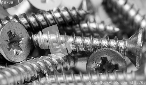 Image of Screw Macro