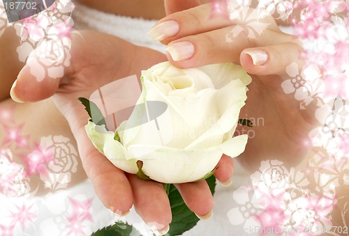 Image of rosebud surrounded by flowers