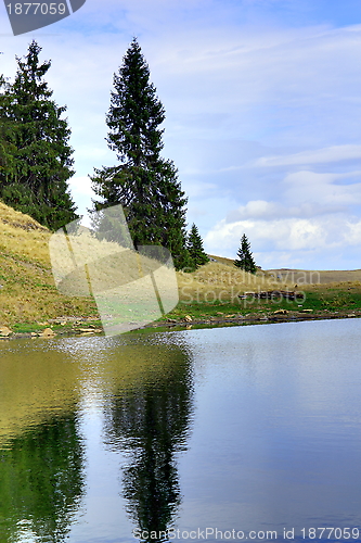 Image of mountain lake and spruces