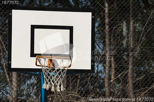 Image of Basketball court