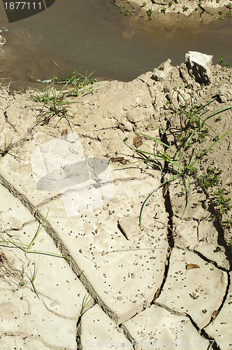 Image of Cracked soil and water