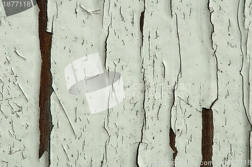 Image of Cracked old painted wooden wall