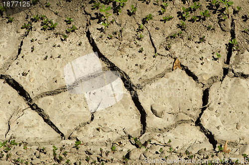 Image of Land parched land