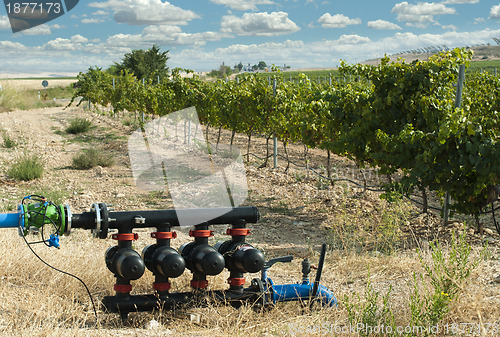 Image of Water pumps for irrigation of vineyards