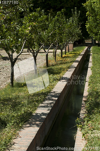 Image of Irrigation canal