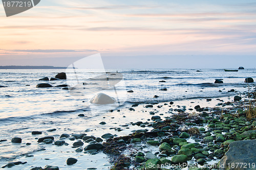 Image of Coast of the Baltic Sea at sunset