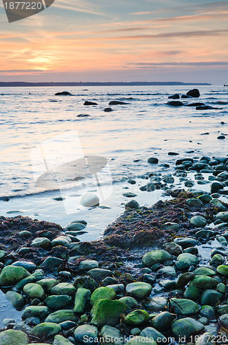 Image of Coast of the Baltic Sea at sunset