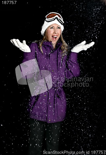 Image of Snowy Night