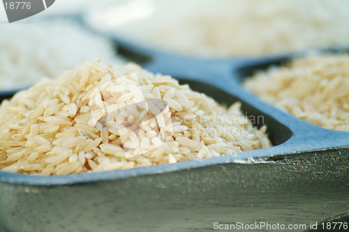 Image of Rice