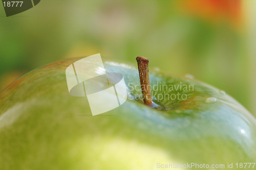 Image of Apple