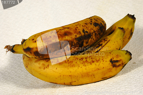Image of Ripe bananas