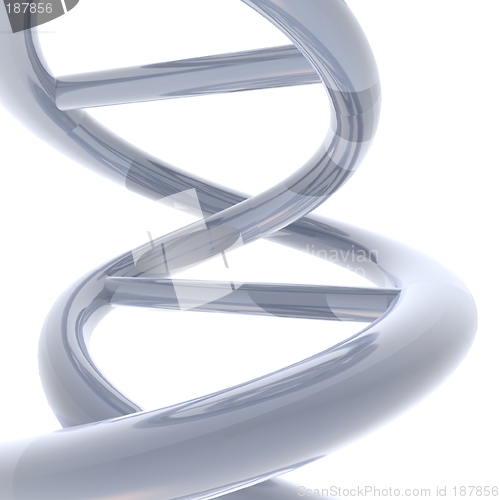 Image of macro dna