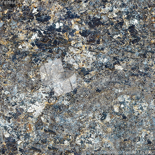 Image of Texture of natural stone